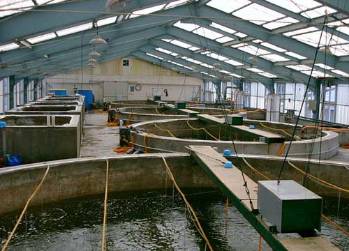 Water and wastewater plant for Fishing and Aquarium Industries